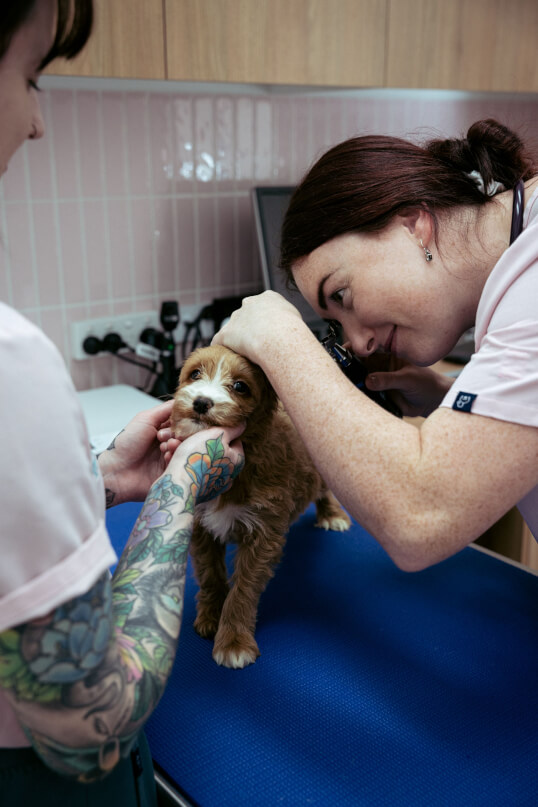 Sovereign Vet Hospital