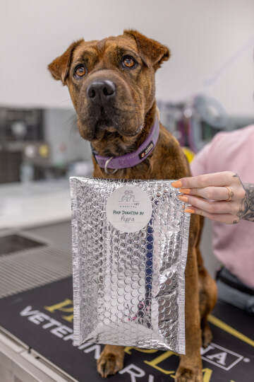 Sovereign Vet Hospital