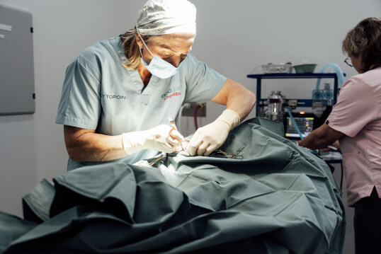 Sovereign Vet Hospital