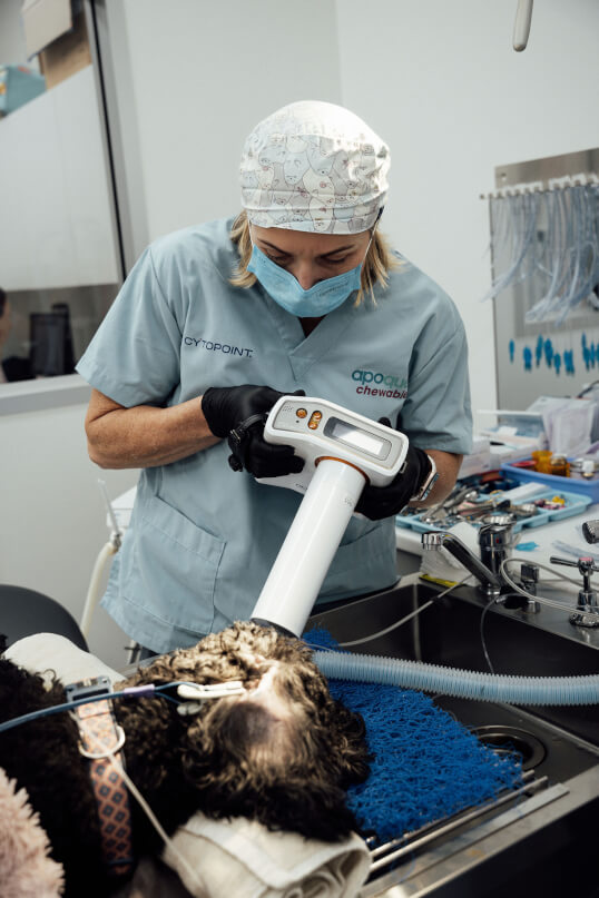Sovereign Vet Hospital