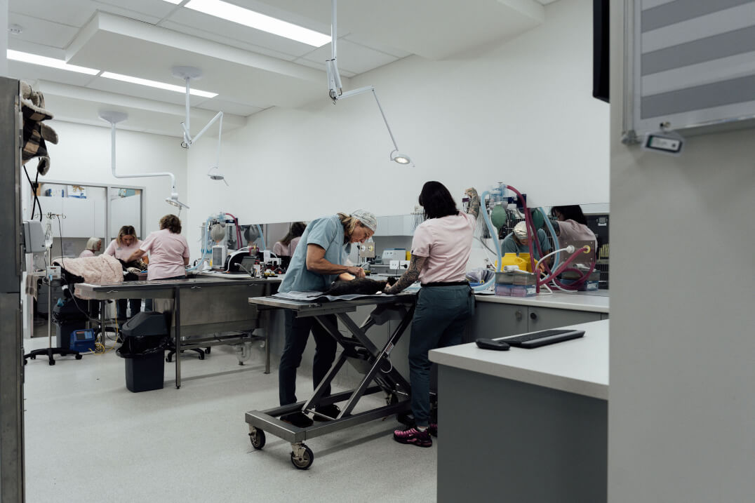 Sovereign Vet Hospital