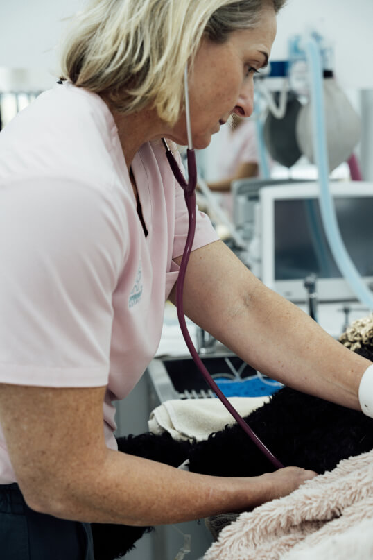 Sovereign Vet Hospital